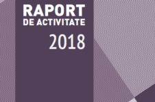 Raport de activitate 2018